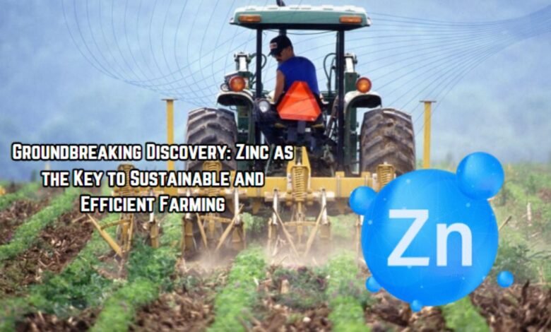 Groundbreaking Discovery: Zinc as the Key to Sustainable and Efficient Farming