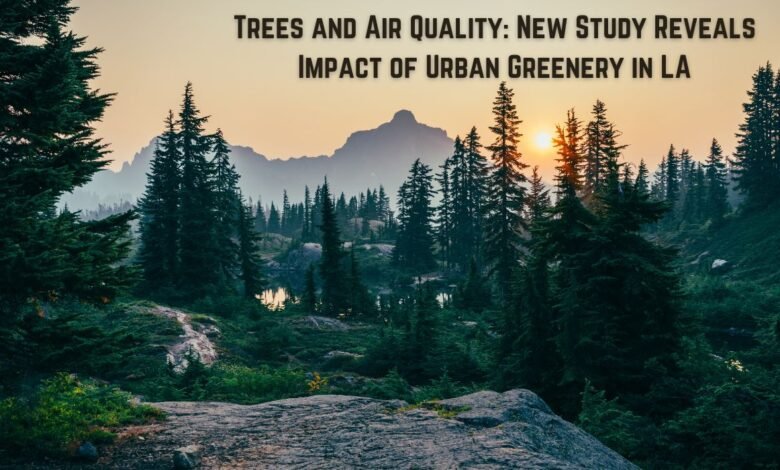 Trees and Air Quality