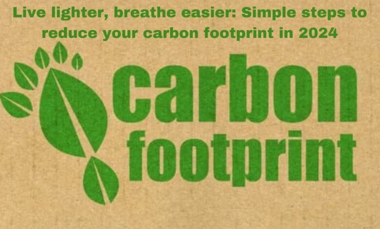 reduce your carbon footprint in 2024