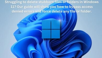 How to force delete files and folders and fix access denied errors in Windows 11