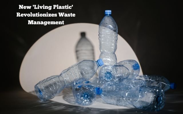 New 'Living Plastic' Revolutionizes Waste Management