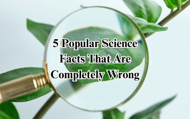 5 Popular Science Facts That Are Completely Wrong