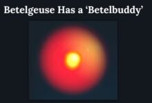 Betelgeuse Has a ‘Betelbuddy’