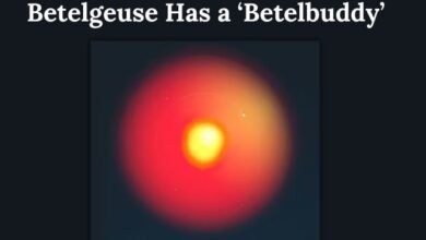 Betelgeuse Has a ‘Betelbuddy’