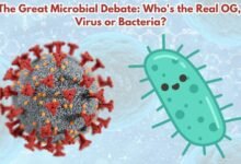 Viruses or Bacteria