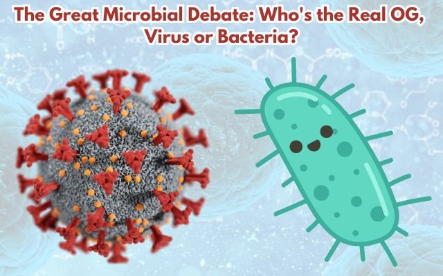 Viruses or Bacteria