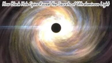 How Black Hole Spins Reveal the Secrets of Ultraluminous Light