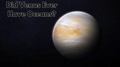 Did Venus Ever Have Oceans?