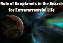 Role of Exoplanets in the Search for Extraterrestrial Life